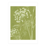 Wildflowers III (Print Only) thumbnail