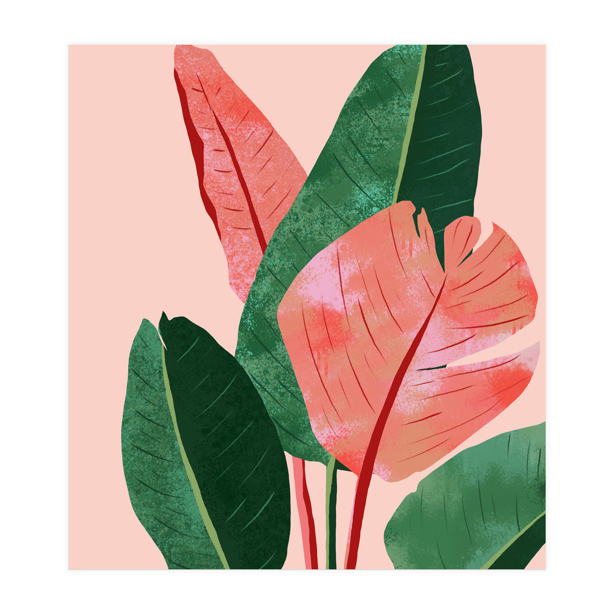 Blush Tropical, Banana Leaves Watercolor Botanical Jungle Painting, Forest Plants Leaves Pink Chic Bohemian (Print Only)