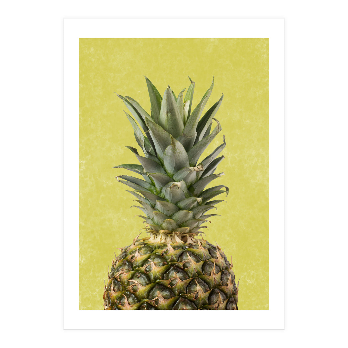 Pineapple Crown, Tropical Summer Fruit Art (Print Only)