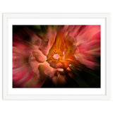 Backyard Flowers No 40 Color Flow Version thumbnail