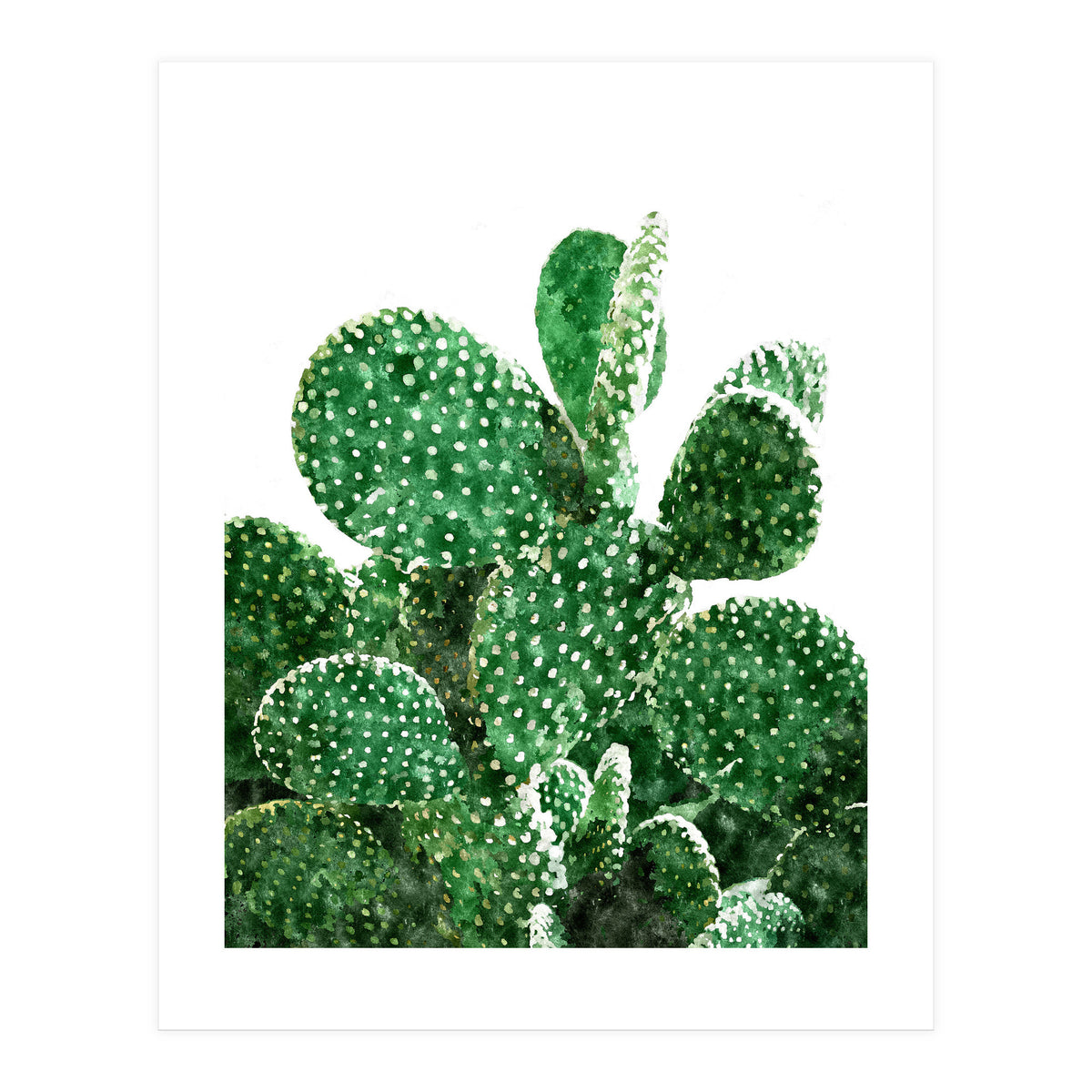 Velvet Cactus | Watercolor Botanical Plants | Minimal Boho Scandinavian Painting (Print Only)