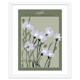 Flower Market Lisboa Cornflower thumbnail