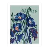 Wild Flowers Light (Print Only) thumbnail