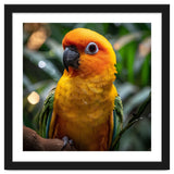 Sun Conure Parrot Colorful Bird Perched On Branch thumbnail