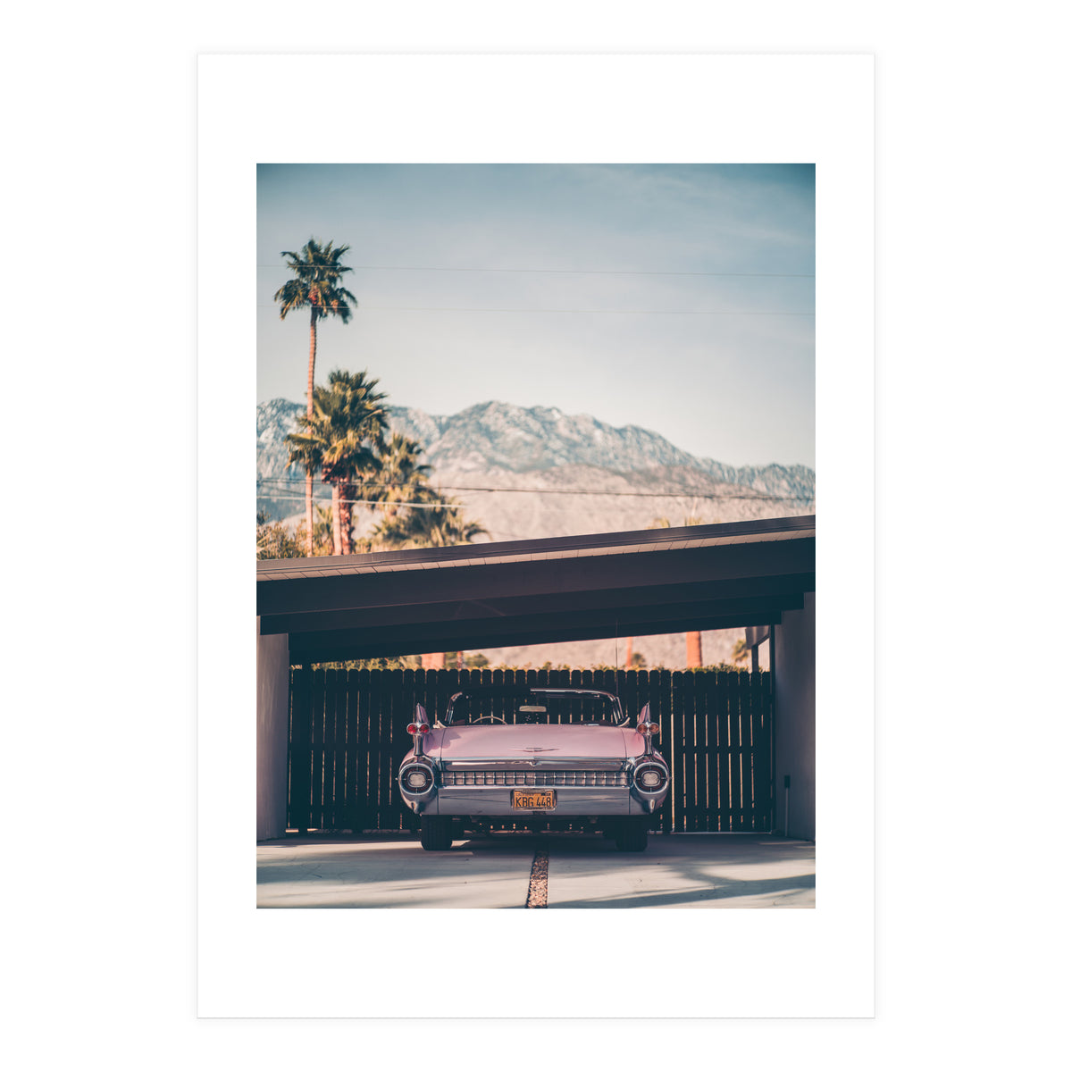Palm Springs Pink (Print Only)