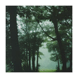 Silence of breath - 13 (Print Only) thumbnail