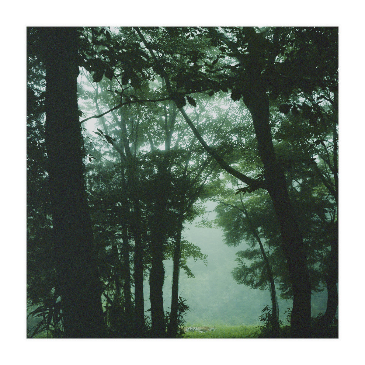 Silence of breath - 13 (Print Only)