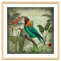 Tropical Bird Nostalgia