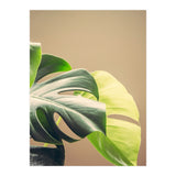 Dark And Light (Print Only) thumbnail