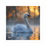 Beautiful Swan Floating On Water At Sunset (Print Only) thumbnail