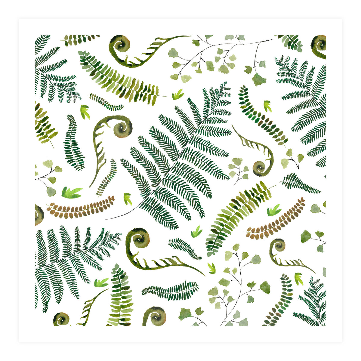 Spring Fern Pattern (Print Only)