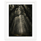 Enchanted Canopy: Mystical Forest Path thumbnail