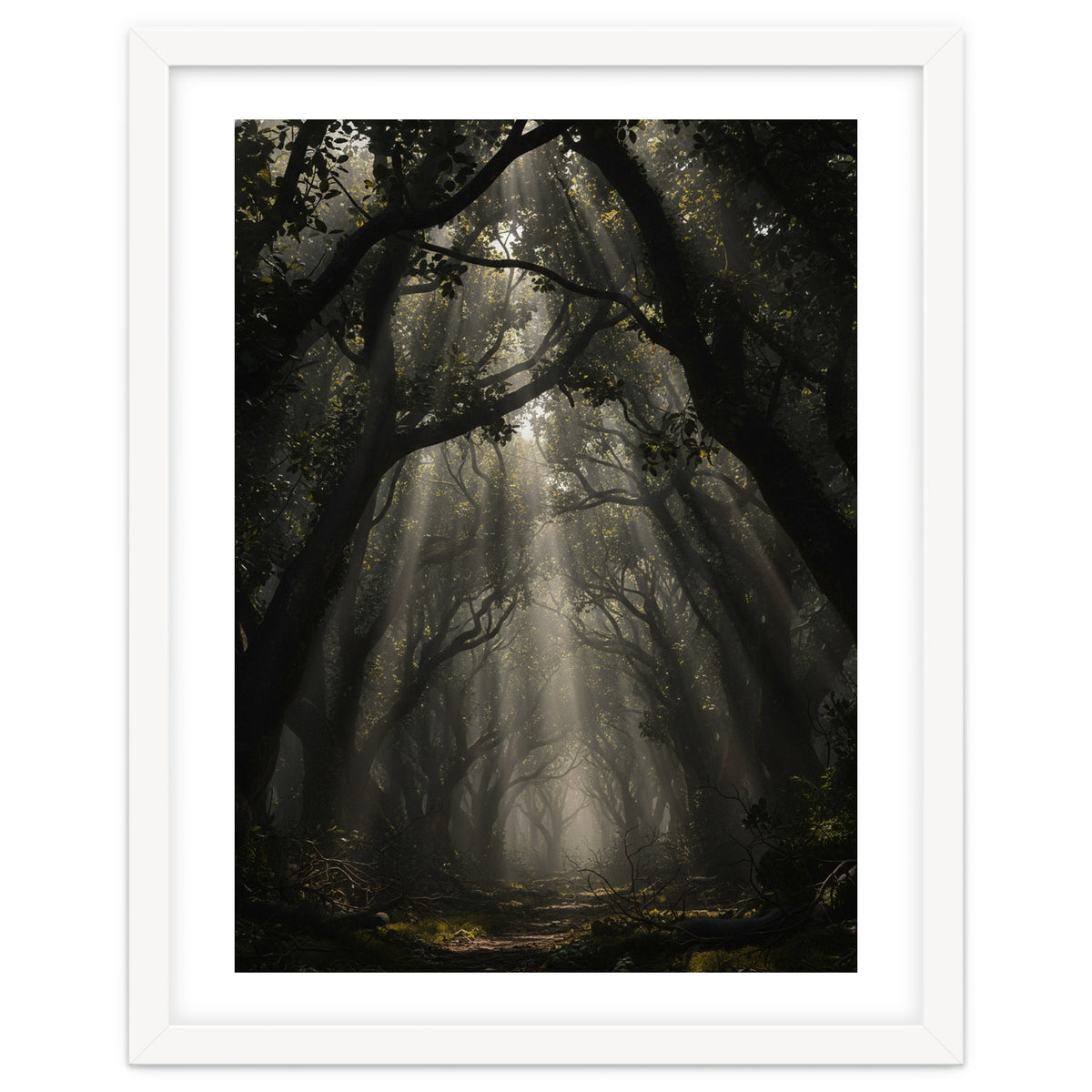 Enchanted Canopy: Mystical Forest Path