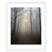 Ethereal Morning Light Breaking Through Dense Forest Fog