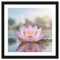 Ethereal Lotus Bloom: Serene Botanical Reflection