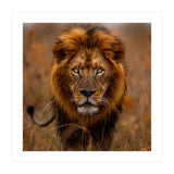 Majestic Lion King Of The Savannah In Dry Grass (Print Only) thumbnail