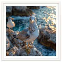 Seagull Standing On Rocks Near Water