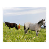 Equine Family (Print Only) thumbnail