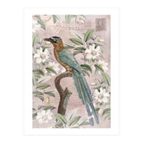 Exotic Bird (Print Only) thumbnail
