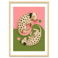 Yin And Yang Dalmatians