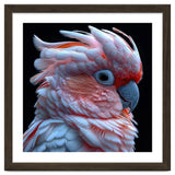 Pink Cockatoo Parrot Close Up Portrait Feather thumbnail