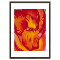 Georgia O’Keeffe – Canna Red and Orange (1926) | Vibrant Modernist Floral Painting in Bold Organic Forms