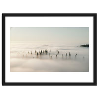 Misty Peaks: Pine Forest Above the Clouds