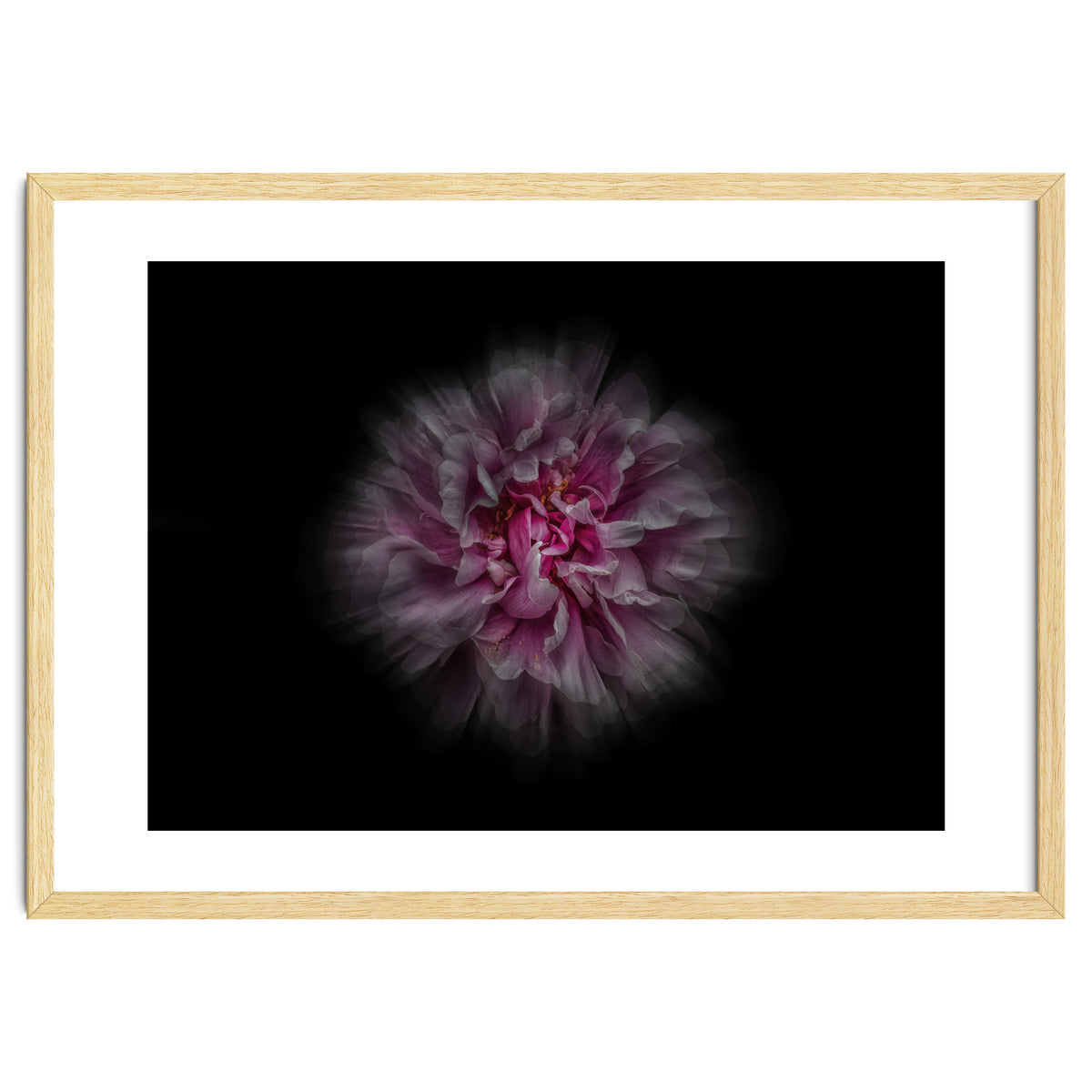 Backyard Flowers No 116 Color Flow Version