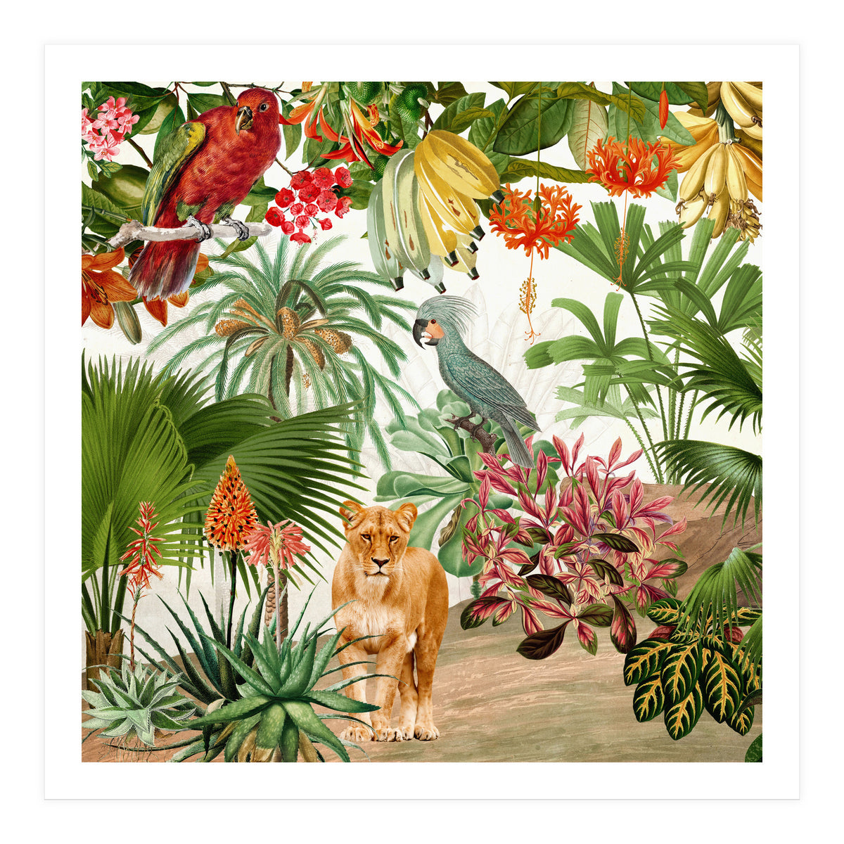 Vintage Tropical Jungle Paradise (Print Only)