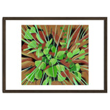 Meadow at spring thumbnail