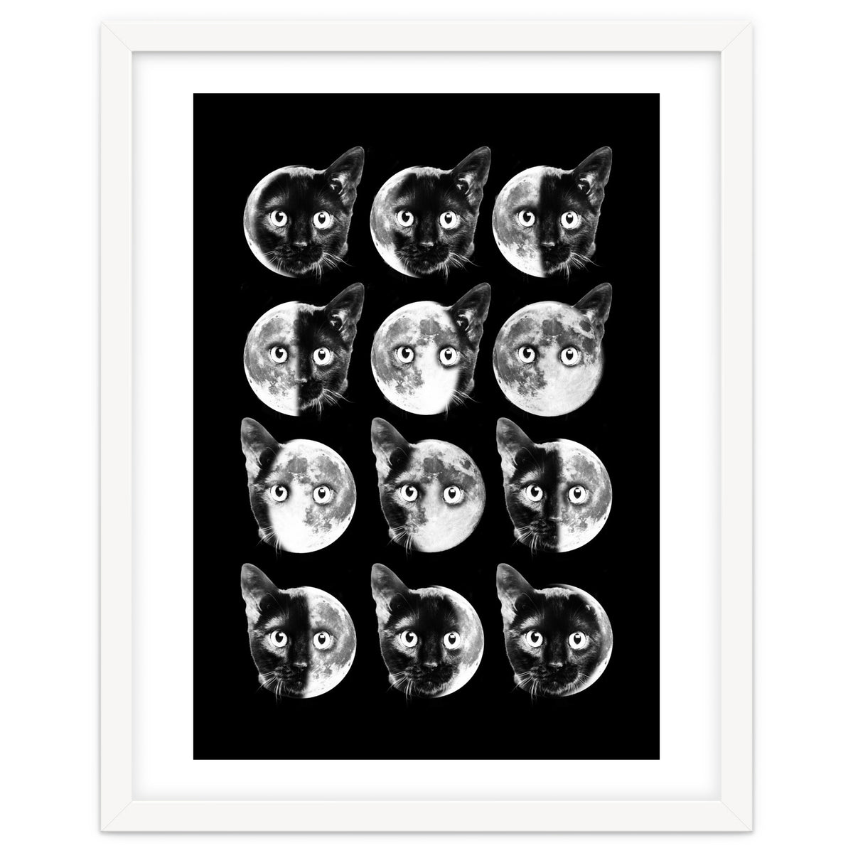 Cat Moon Phases