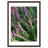 Lavender Flowers thumbnail