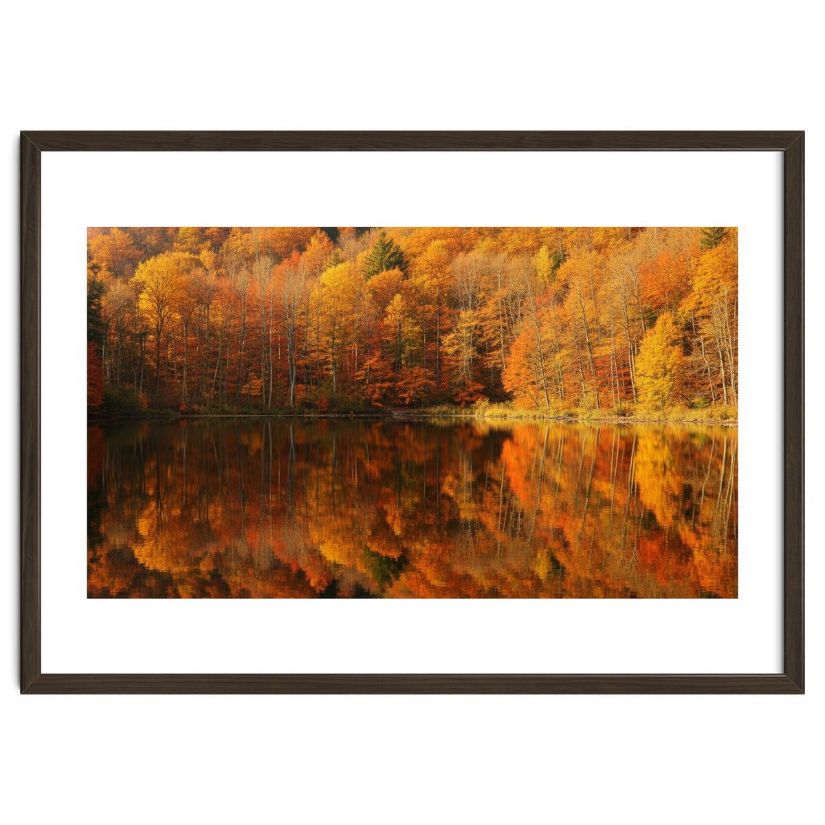 Autumn Reflections