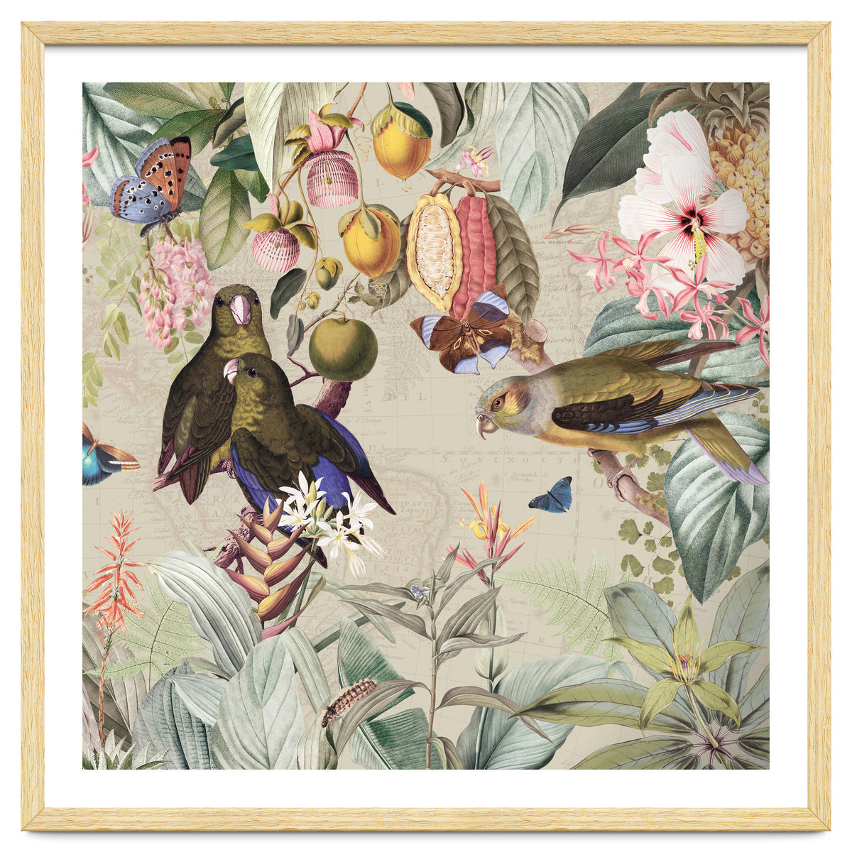 Colorful Parrots And Butterflies In Flower And Fruit Tropical Jungle