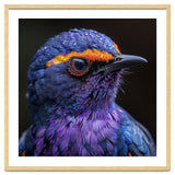 Close Up Portrait Of A Vibrant Exotic Bird thumbnail