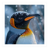 King Penguin Close Up In Snowy Environment (Print Only) thumbnail