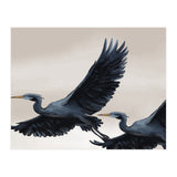 Migrating Herons (Print Only) thumbnail