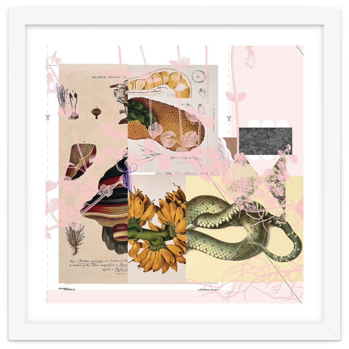 Abstract White Daydream Flower