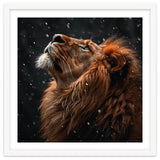 Lion Looking Up In The Snow Majestic thumbnail