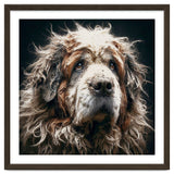 Old Dog 01 thumbnail