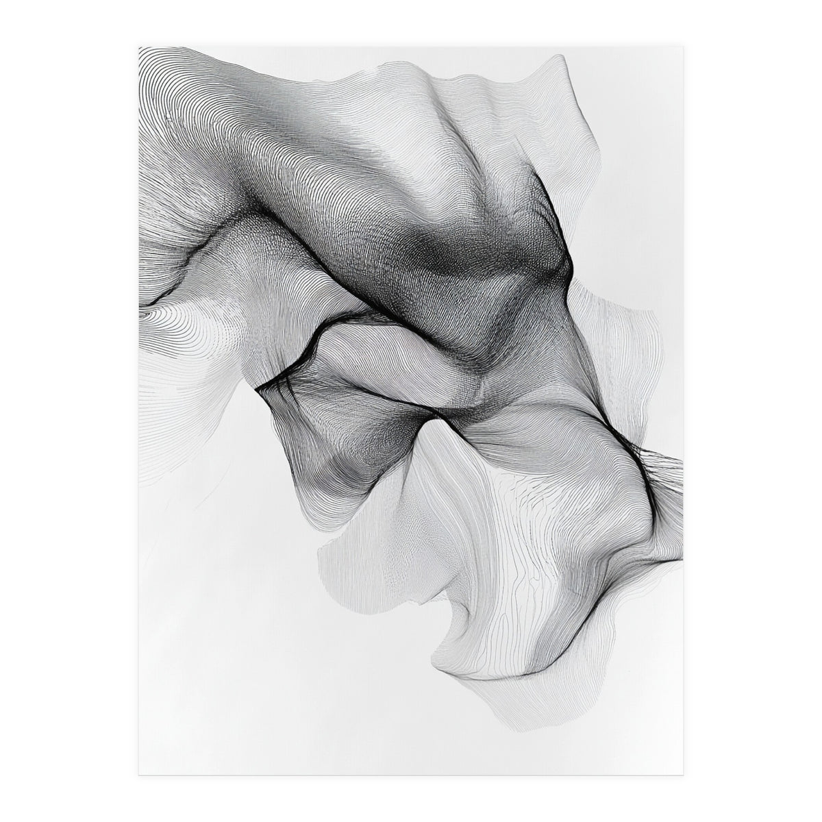Abstract Black And White Flowing Lines Forming Organic Shapes And Forms (Print Only)
