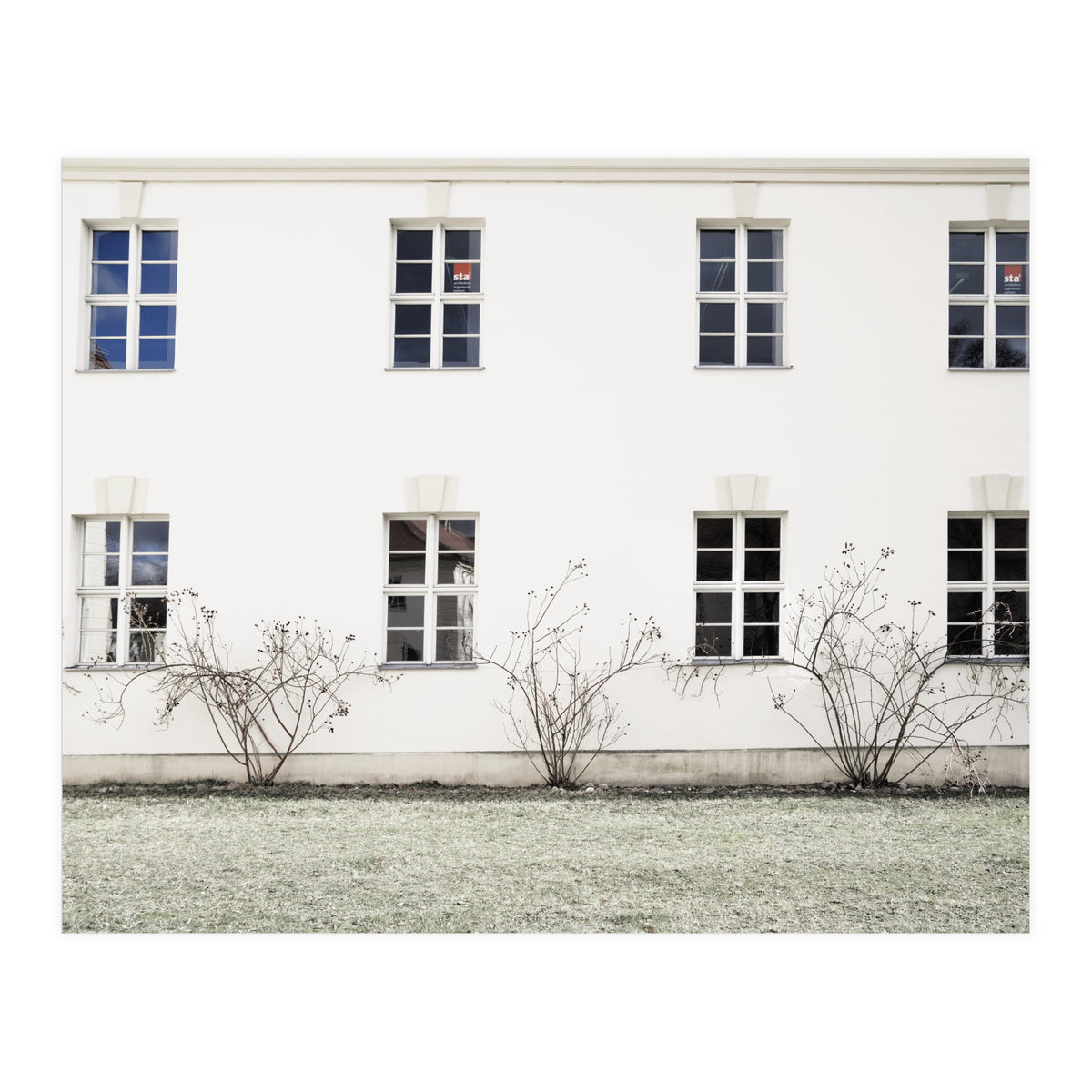 Small trees in between the windows  (Print Only)