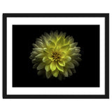 Backyard Flowers No 128 Color Version thumbnail