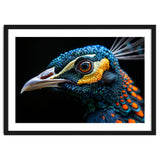 Close Up Of A Peacock Bird Head Eye thumbnail