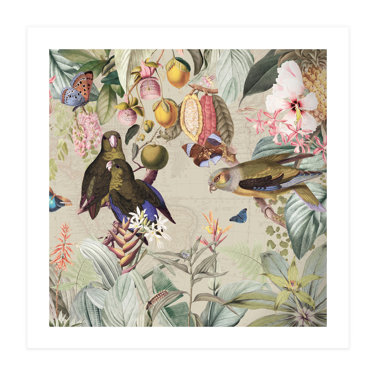Colorful Parrots And Butterflies In Flower And Fruit Tropical Jungle (Print Only)