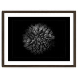 Backyard Flowers In Black And White No 68 with Border thumbnail
