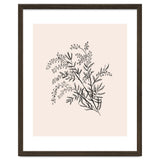 Acacia Botanical illustration thumbnail