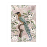 Exotic Bird (Print Only) thumbnail
