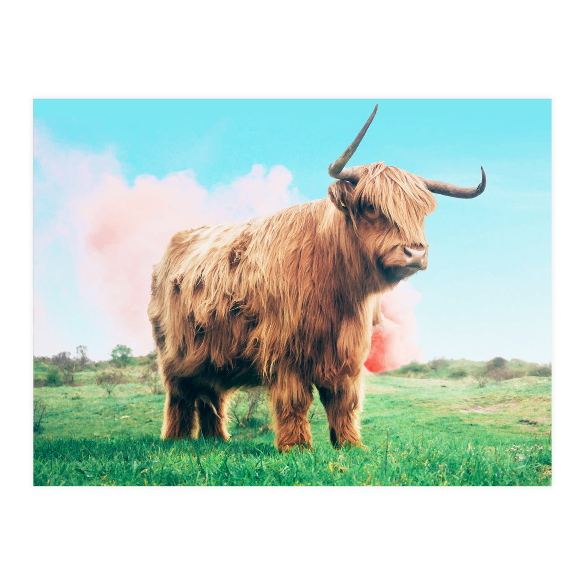 Highland Cow #society6 #decor #buyart (Print Only)