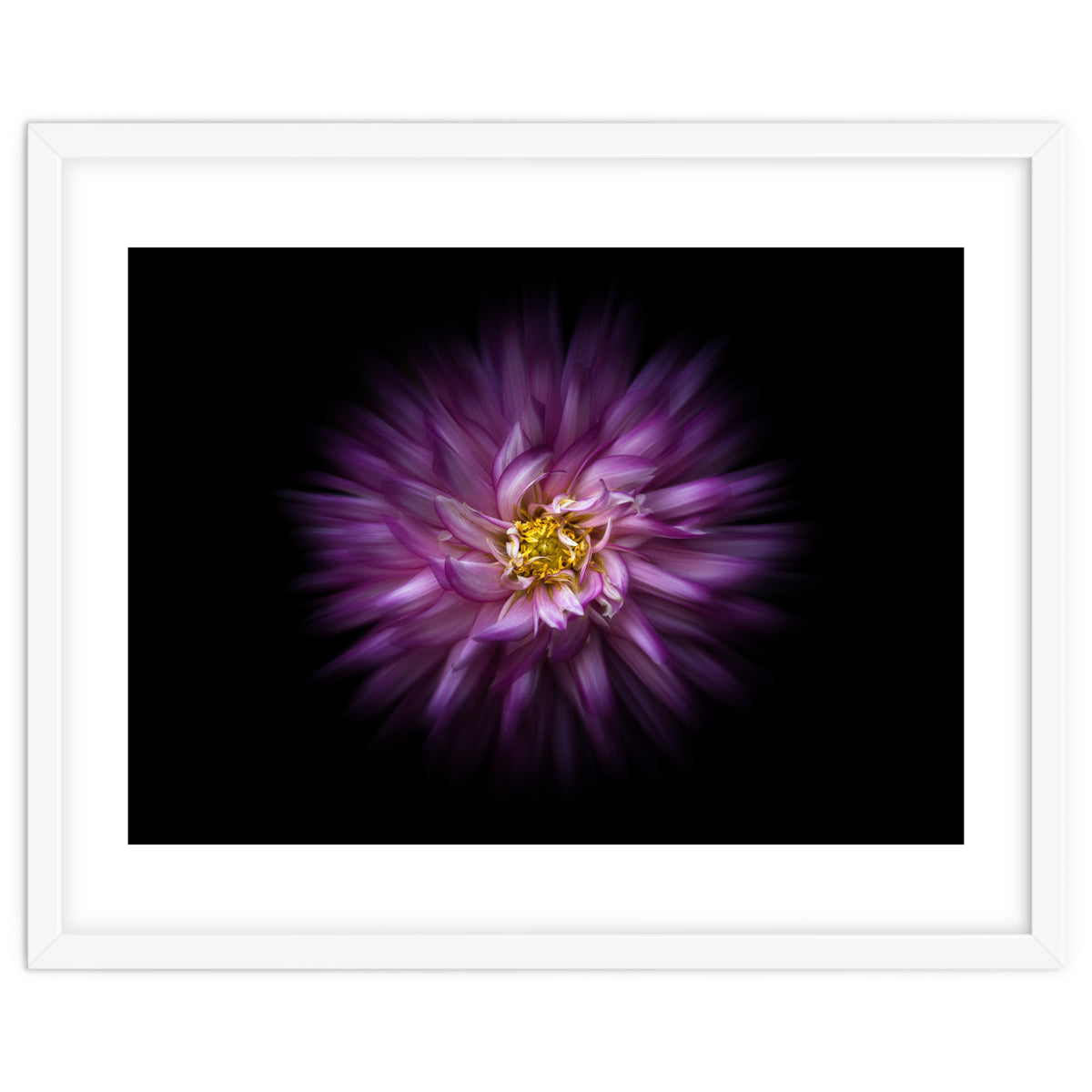 Backyard Flowers No 20 Color Flow Version